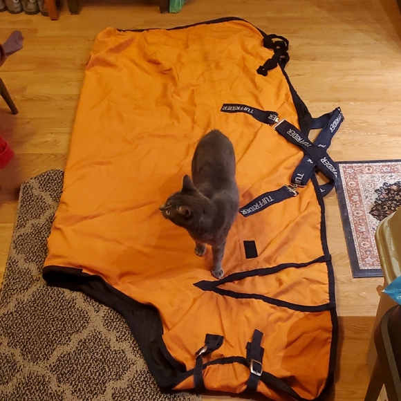 Tuff Rider Sheet 74 - Picture 1 of 10